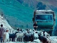 Porting Satellite Shankar