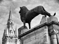 The Lion of Brunswick
